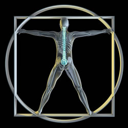Hartford, CT chiropractic